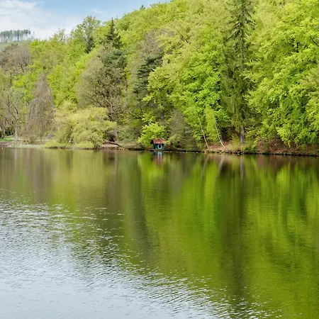 Am Wald Mit Sauna * Bad Sachsa