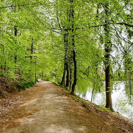 Am Wald Mit Sauna *
